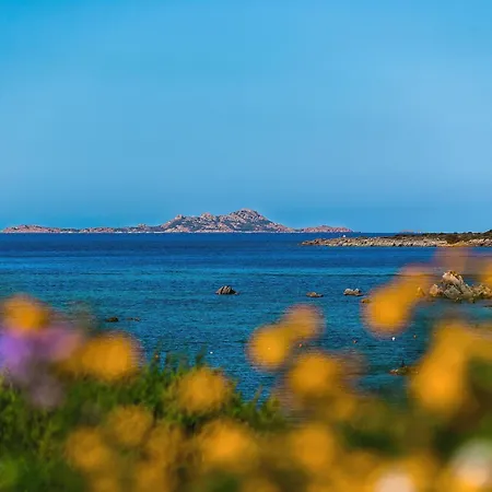Marineledda Il Gelsomino *